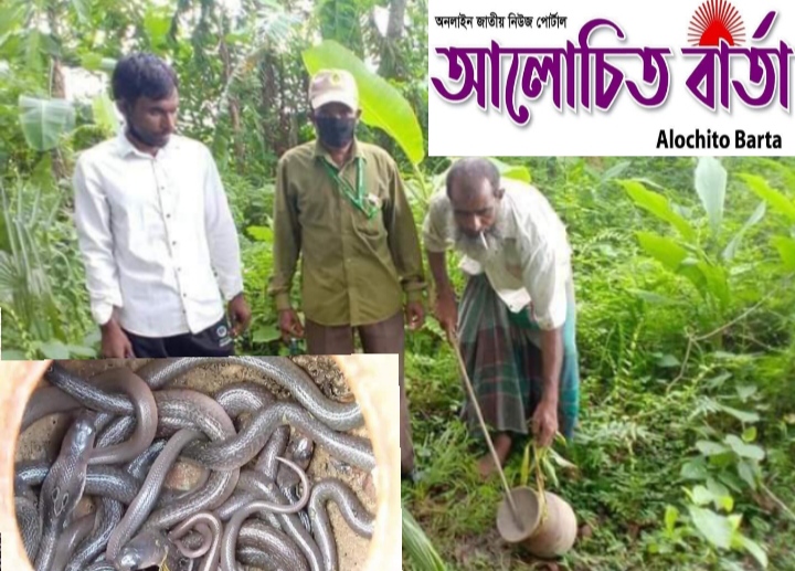 ঝিনাইদহ শৈলকুপায় অরক্ষিত বনেই ছাড়লো বিষধর গোখরা সাপ আতংকে এলাকাবাসী।