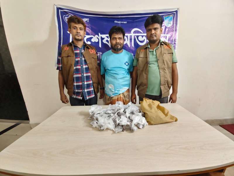 আশুলিয়া থানাধীন আশুলিয়া বাধাইল এলাকা ডিবি পুলিশ (উত্তর) কর্তৃক ৫০০ গ্রাম গাঁজাসহ আটক-১