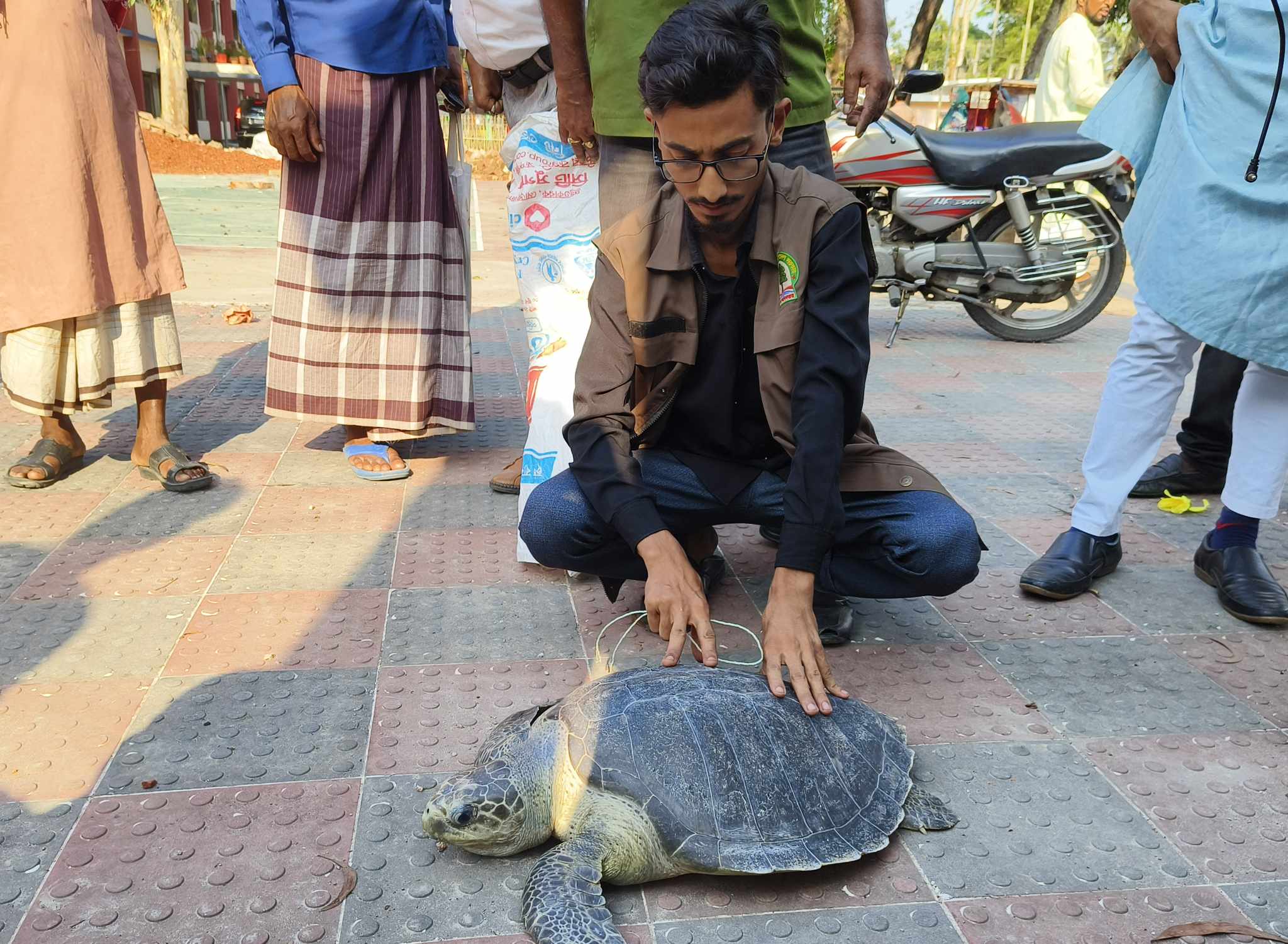 আমতলীর পায়রা নদীতে জেলের জালে ধরা পড়লো বিরল প্রজাতির মা কচ্ছপ, পরে নদীতে অবমুক্ত