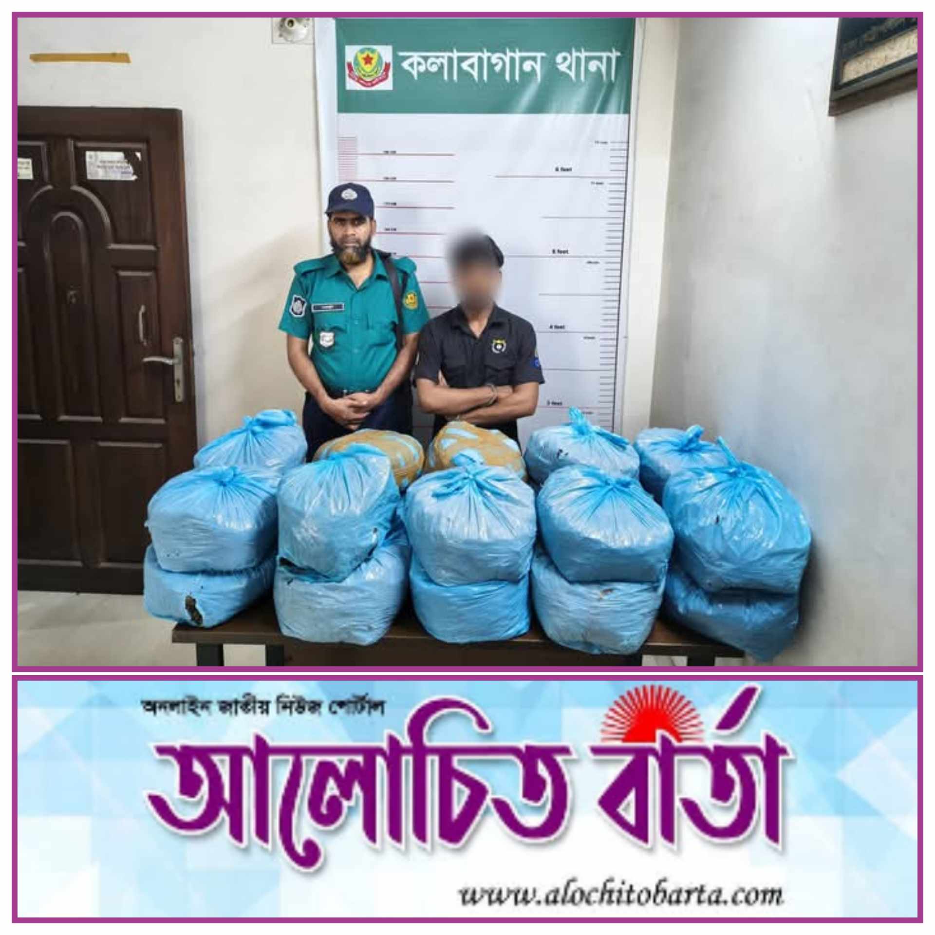 রাজধানীর কলাবাগান থানা পুলিশ অভিযানে স্কুল স্ট্রীট এলাকা থেকে ৪০ কেজি গাঁজাসহ মাদক কারবারি এলেক্স কাল্লু আটক
